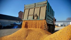 Litauen will strengere Importbeschränkungen für russische Lebensmittel. Foto: ---/ukrin/dpa