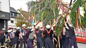 Maibäume in Haiterbach: In der Kernstadt ist es am anstrengendsten