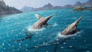Diese künstlerische Darstellung zeigt ein Paar schwimmender Ichthyotitan severnensis im Ur-Meer. Foto: dpa/Gabriel Ugueto