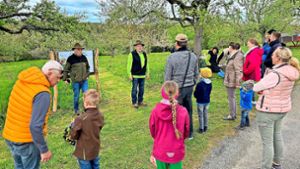 Umwelt in Holzhausen: Streuobst-Tag wird voller Erfolg
